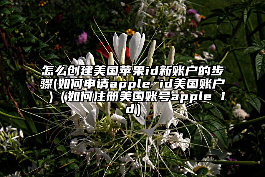 怎么创建美国苹果id新账户的步骤(如何申请apple id美国账户 )(如何注册美国账号apple id)