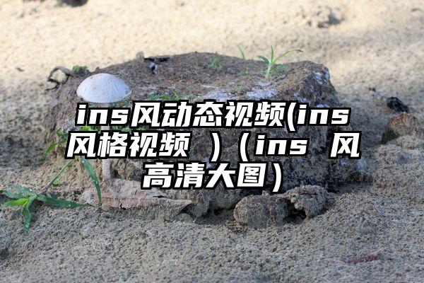 ins风动态视频(ins风格视频 )(ins 风高清大图)