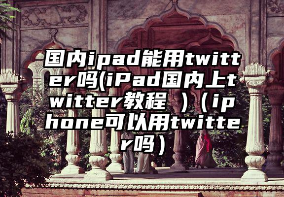 国内ipad能用twitter吗(iPad国内上twitter教程 )（iphone可以用twitter吗）