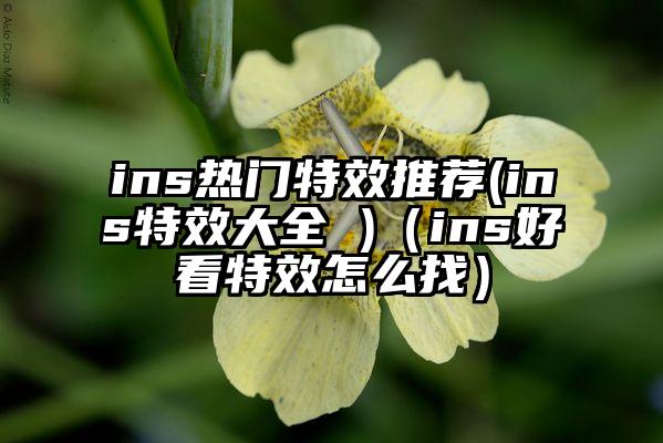 ins热门特效推荐(ins特效大全 )（ins好看特效怎么找）