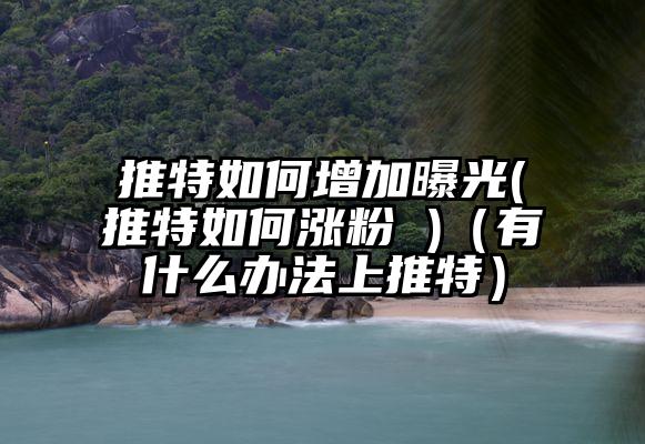 推特如何增加曝光(推特如何涨粉 )（有什么办法上推特）