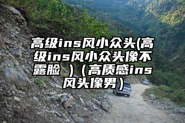高级ins风小众头(高级ins风小众头像不露脸 )（高质感ins风头像男）