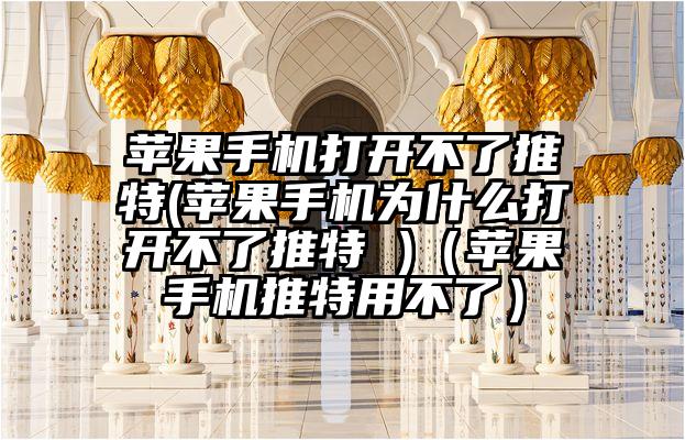 苹果手机打开不了推特(苹果手机为什么打开不了推特 )（苹果手机推特用不了）