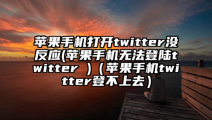 苹果手机打开twitter没反应(苹果手机无法登陆twitter )（苹果手机twitter登不上去）
