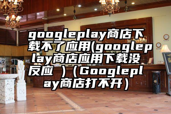 googleplay商店下载不了应用(googleplay商店应用下载没反应 )（Googleplay商店打不开）