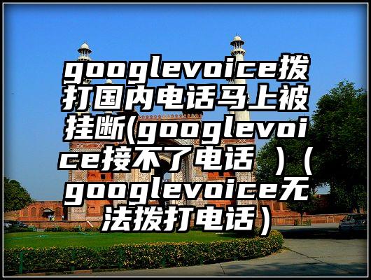 googlevoice拨打国内电话马上被挂断(googlevoice接不了电话 )（googlevoice无法拨打电话）