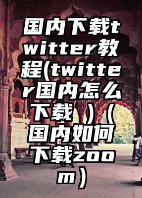 国内下载twitter教程(twitter国内怎么下载 )（国内如何下载zoom）