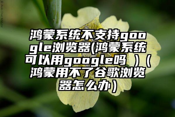 鸿蒙系统不支持google浏览器(鸿蒙系统可以用google吗 )（鸿蒙用不了谷歌浏览器怎么办）