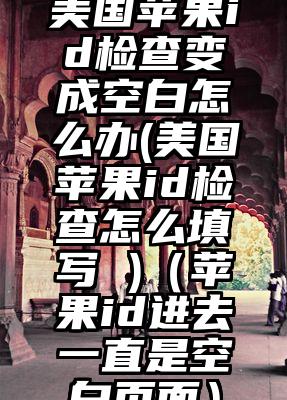 美国苹果id检查变成空白怎么办(美国苹果id检查怎么填写 )（苹果id进去一直是空白页面）