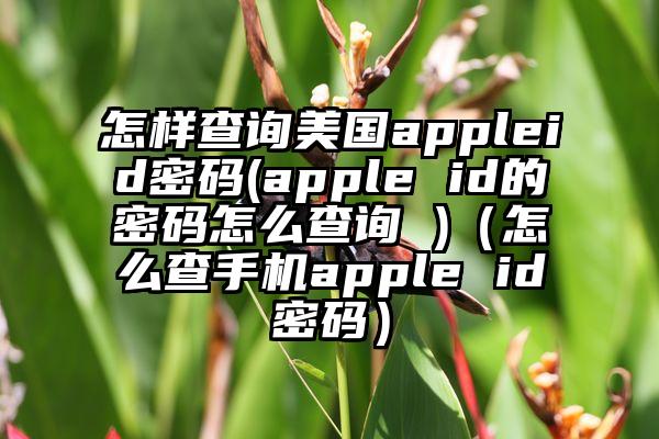 怎样查询美国appleid密码(apple id的密码怎么查询 )（怎么查手机apple id密码）