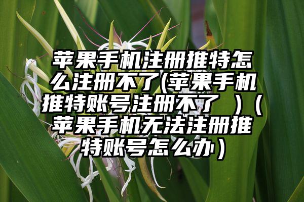 苹果手机注册推特怎么注册不了(苹果手机推特账号注册不了 )（苹果手机无法注册推特账号怎么办）
