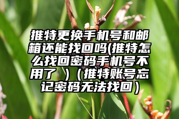 推特更换手机号和邮箱还能找回吗(推特怎么找回密码手机号不用了 )（推特账号忘记密码无法找回）