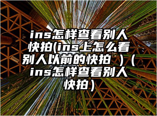 ins怎样查看别人快拍(ins上怎么看别人以前的快拍 )（ins怎样查看别人快拍）