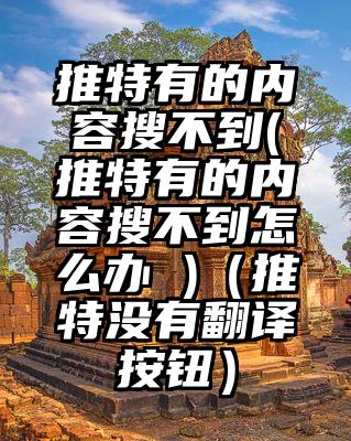 推特有的内容搜不到(推特有的内容搜不到怎么办 )（推特没有翻译按钮）
