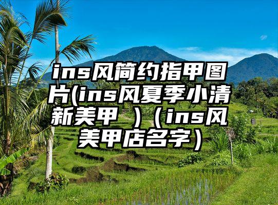 ins风简约指甲图片(ins风夏季小清新美甲 )（ins风美甲店名字）