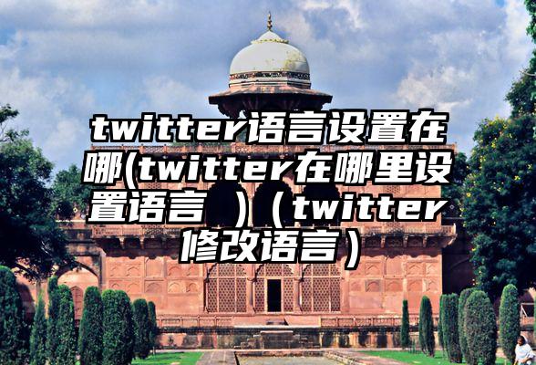 twitter语言设置在哪(twitter在哪里设置语言 )（twitter修改语言）