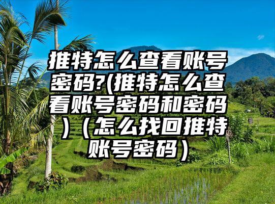 推特怎么查看账号密码?(推特怎么查看账号密码和密码 )（怎么找回推特账号密码）