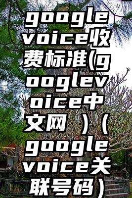 googlevoice收费标准(googlevoice中文网 )（googlevoice关联号码）