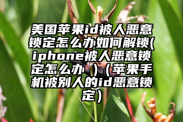 美国苹果id被人恶意锁定怎么办如何解锁(iphone被人恶意锁定怎么办 )（苹果手机被别人的id恶意锁定）