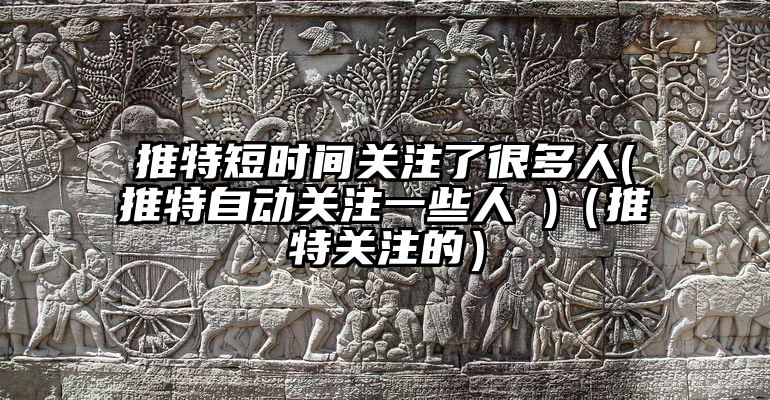 推特短时间关注了很多人(推特自动关注一些人 )（推特关注的）