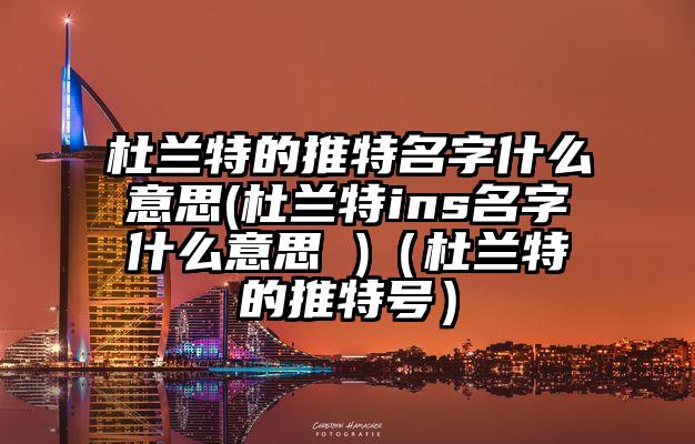 杜兰特的推特名字什么意思(杜兰特ins名字什么意思 )（杜兰特的推特号）