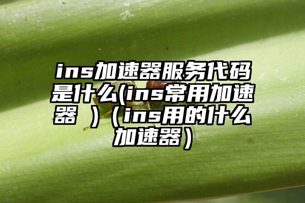 ins加速器服务代码是什么(ins常用加速器 )（ins用的什么加速器）