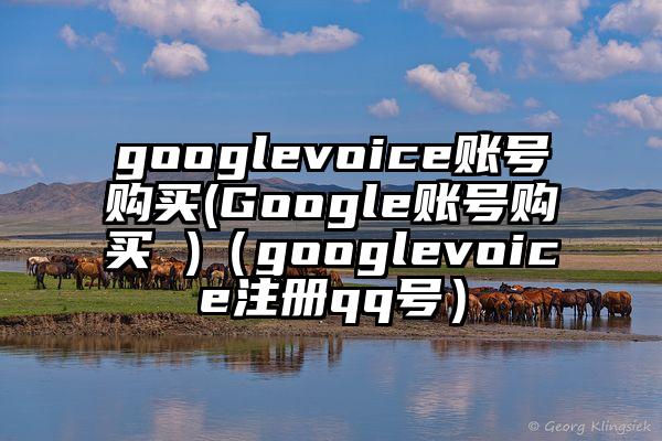 googlevoice账号购买(Google账号购买 )（googlevoice注册qq号）