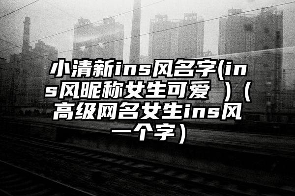 小清新ins风名字(ins风昵称女生可爱 )（高级网名女生ins风一个字）