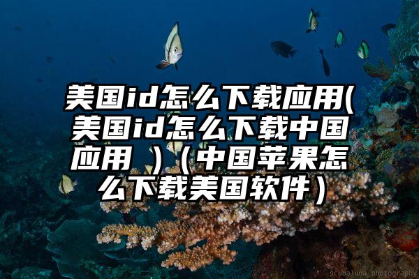 美国id怎么下载应用(美国id怎么下载中国应用 )（中国苹果怎么下载美国软件）
