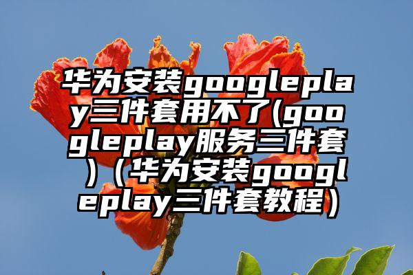 华为安装googleplay三件套用不了(googleplay服务三件套 )（华为安装googleplay三件套教程）