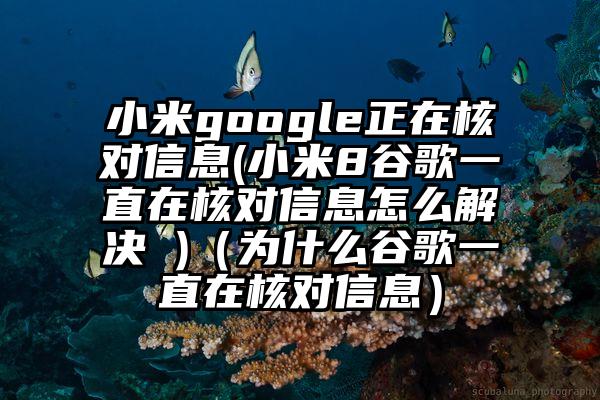 小米google正在核对信息(小米8谷歌一直在核对信息怎么解决 )（为什么谷歌一直在核对信息）