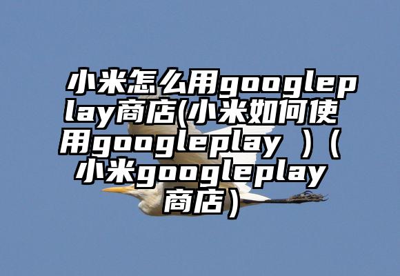 小米怎么用googleplay商店(小米如何使用googleplay )（小米googleplay商店）