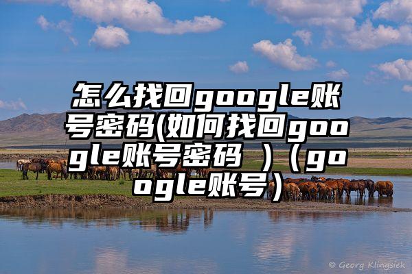 怎么找回google账号密码(如何找回google账号密码 )（google账号）