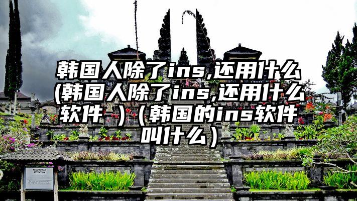 韩国人除了ins,还用什么(韩国人除了ins,还用什么软件 )（韩国的ins软件叫什么）