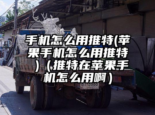 手机怎么用推特(苹果手机怎么用推特 )(推特在苹果手机怎么用啊)