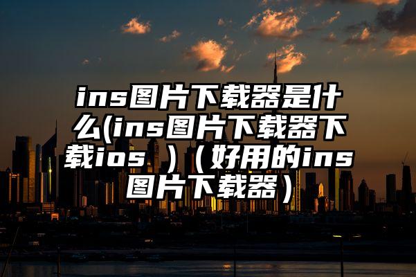 ins图片下载器是什么(ins图片下载器下载ios )（好用的ins图片下载器）