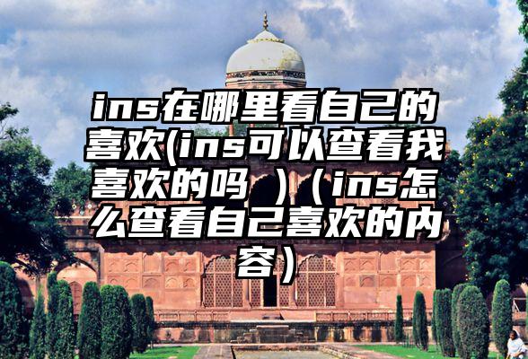 ins在哪里看自己的喜欢(ins可以查看我喜欢的吗 )（ins怎么查看自己喜欢的内容）