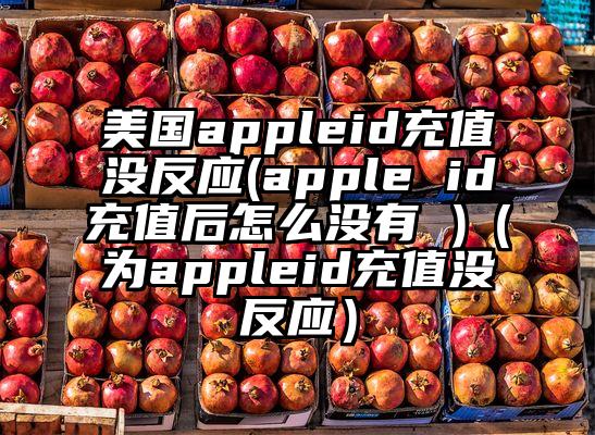 美国appleid充值没反应(apple id充值后怎么没有 )（为appleid充值没反应）
