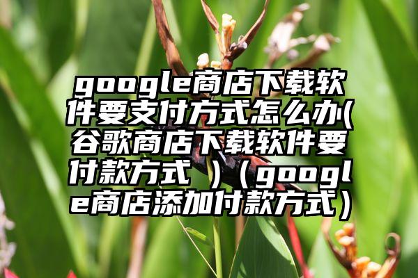 google商店下载软件要支付方式怎么办(谷歌商店下载软件要付款方式 )（google商店添加付款方式）
