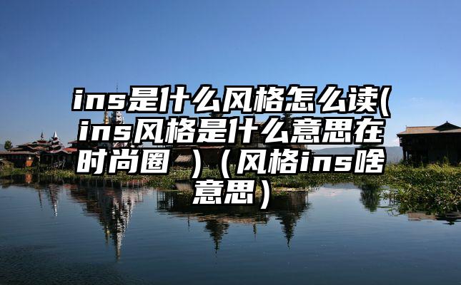 ins是什么风格怎么读(ins风格是什么意思在时尚圈 )（风格ins啥意思）