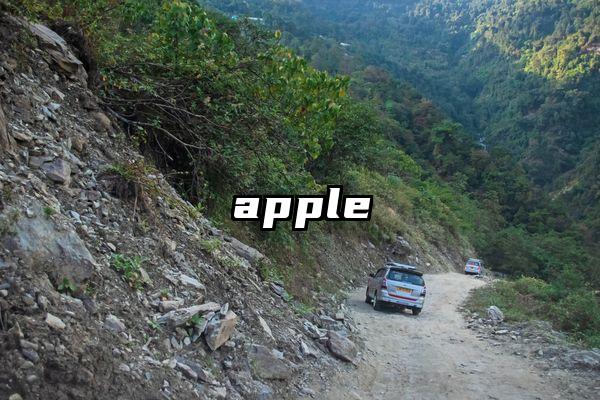apple