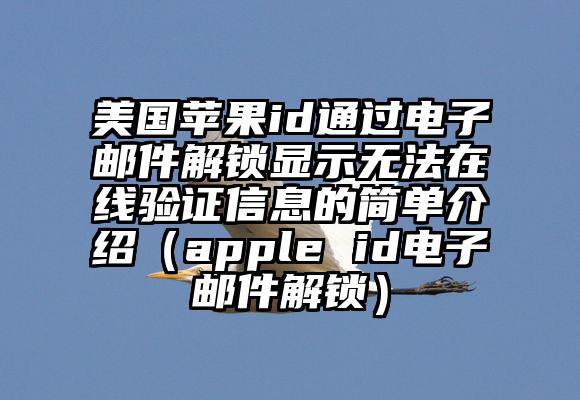 美国苹果id通过电子邮件解锁显示无法在线验证信息的简单介绍（apple id电子邮件解锁）