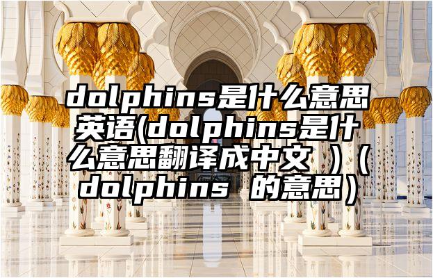 dolphins是什么意思英语(dolphins是什么意思翻译成中文 )（dolphins 的意思）