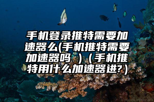 手机登录推特需要加速器么(手机推特需要加速器吗 )（手机推特用什么加速器进?）