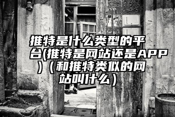 推特是什么类型的平台(推特是网站还是APP )（和推特类似的网站叫什么）