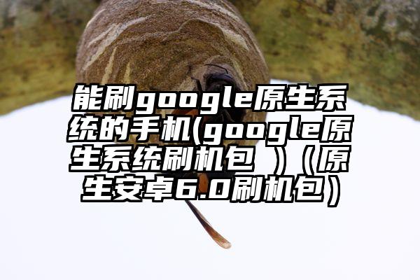 能刷google原生系统的手机(google原生系统刷机包 )（原生安卓6.0刷机包）