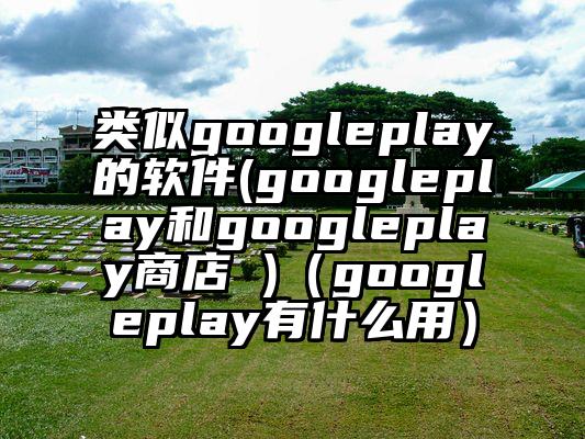 类似googleplay的软件(googleplay和googleplay商店 )（googleplay有什么用）