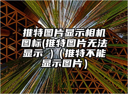 推特图片显示相机图标(推特图片无法显示 )（推特不能显示图片）