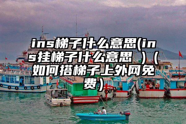 ins梯子什么意思(ins挂梯子什么意思 )（如何搭梯子上外网免费）
