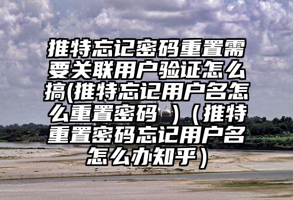 推特忘记密码重置需要关联用户验证怎么搞(推特忘记用户名怎么重置密码 )（推特重置密码忘记用户名怎么办知乎）